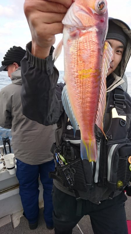 ARCADIAⅡ （アルカディアⅡ） 釣果