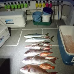 ARCADIAⅡ （アルカディアⅡ） 釣果