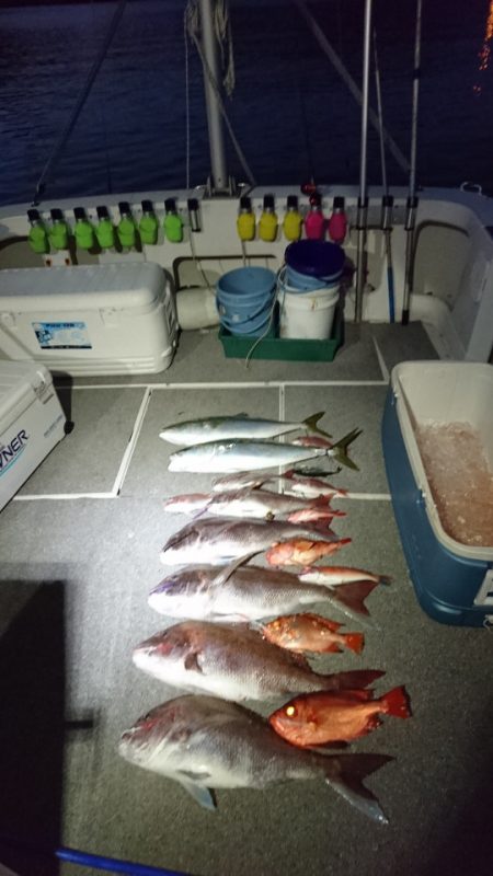 ARCADIAⅡ （アルカディアⅡ） 釣果