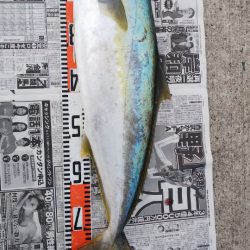 第二龍勢丸 釣果