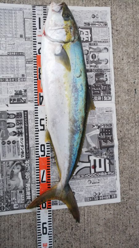 第二龍勢丸 釣果