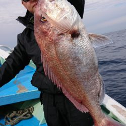 だて丸 釣果