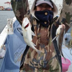 金沢八景鴨下丸 釣果