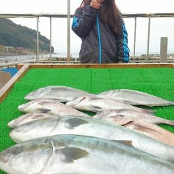 海の釣堀 海恵 釣果