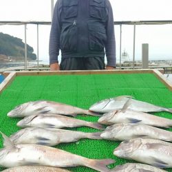 海の釣堀 海恵 釣果