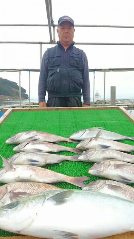 海の釣堀 海恵 釣果
