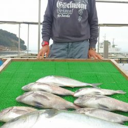 海の釣堀 海恵 釣果