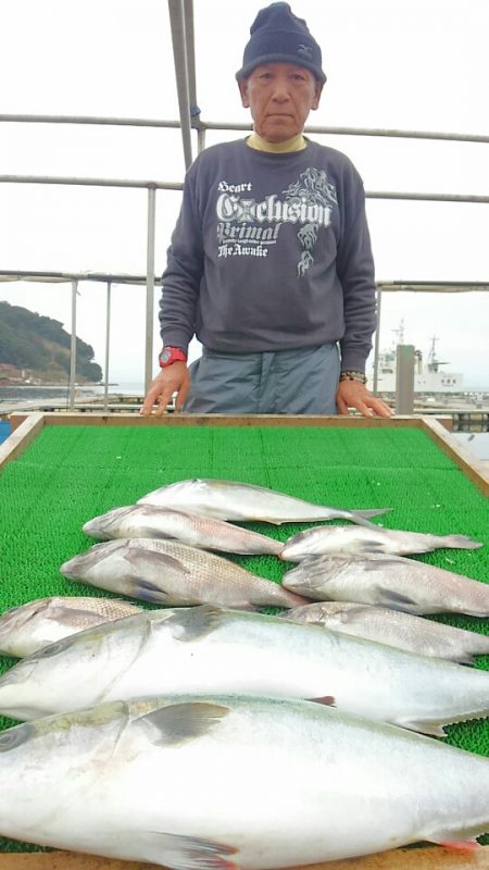 海の釣堀 海恵 釣果