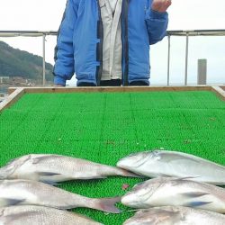 海の釣堀 海恵 釣果