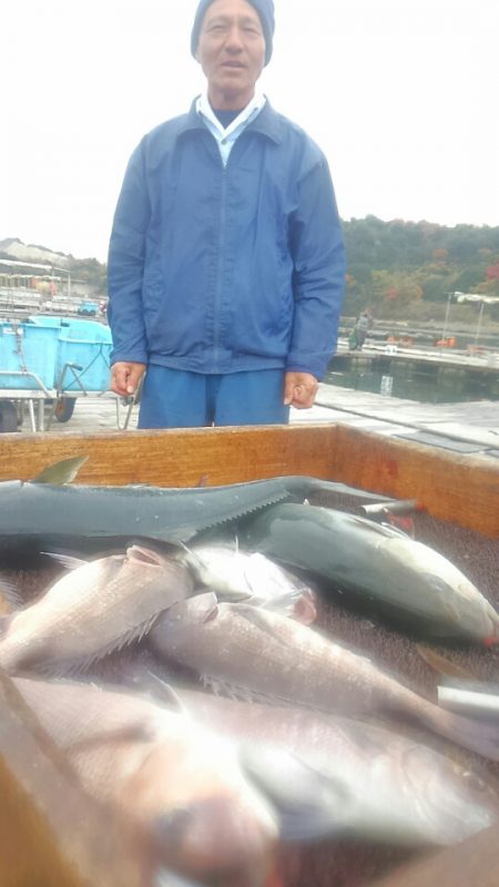 海の釣堀 海恵 釣果