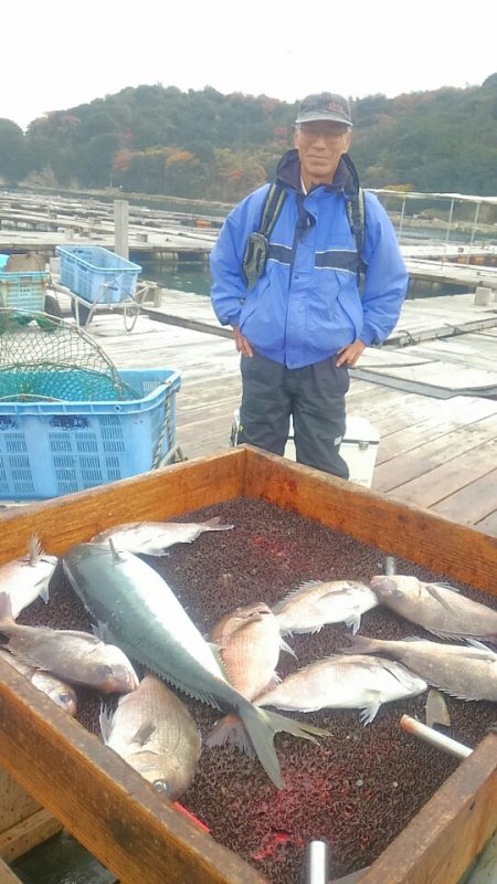 海の釣堀 海恵 釣果