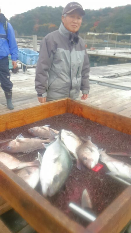 海の釣堀 海恵 釣果
