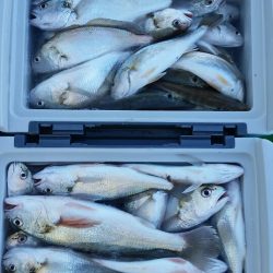 金沢八景鴨下丸 釣果