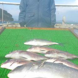 海の釣堀 海恵 釣果