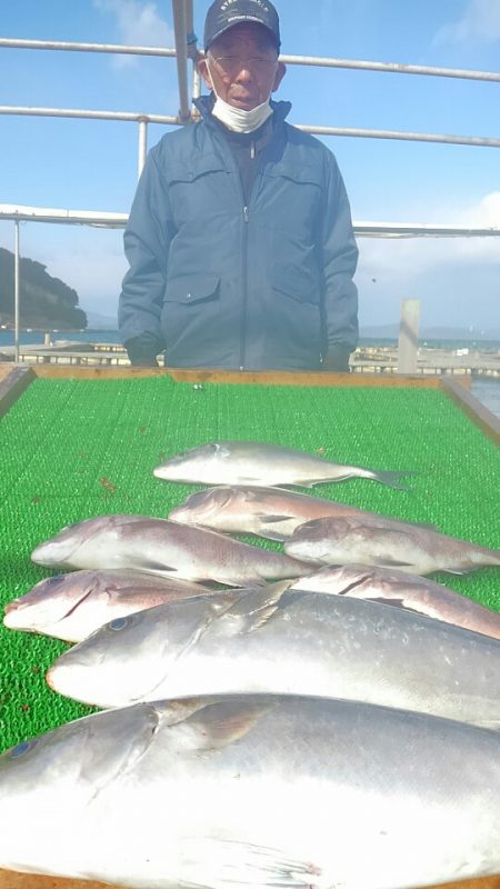 海の釣堀 海恵 釣果