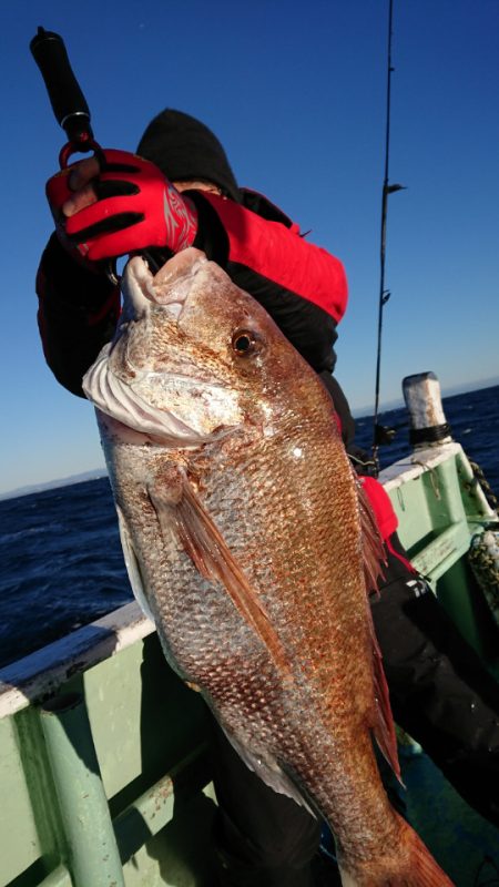 だて丸 釣果