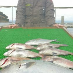 海の釣堀 海恵 釣果
