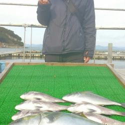 海の釣堀 海恵 釣果