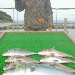 海の釣堀 海恵 釣果