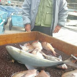 海の釣堀 海恵 釣果