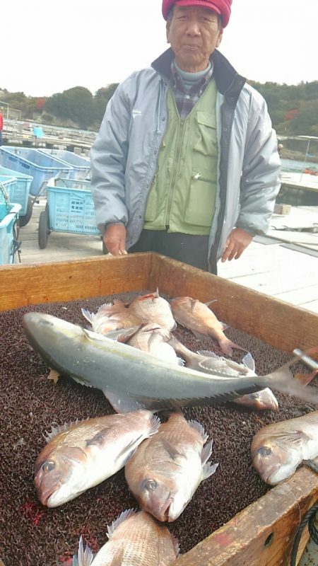 海の釣堀 海恵 釣果
