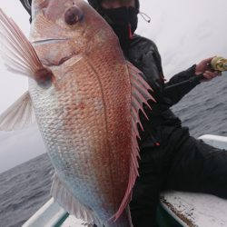 だて丸 釣果
