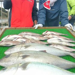 海の釣堀 海恵 釣果