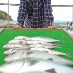 海の釣堀 海恵 釣果