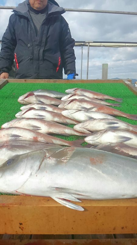 海の釣堀 海恵 釣果