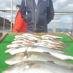 海の釣堀 海恵 釣果