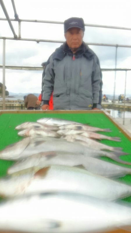 海の釣堀 海恵 釣果