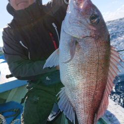 だて丸 釣果