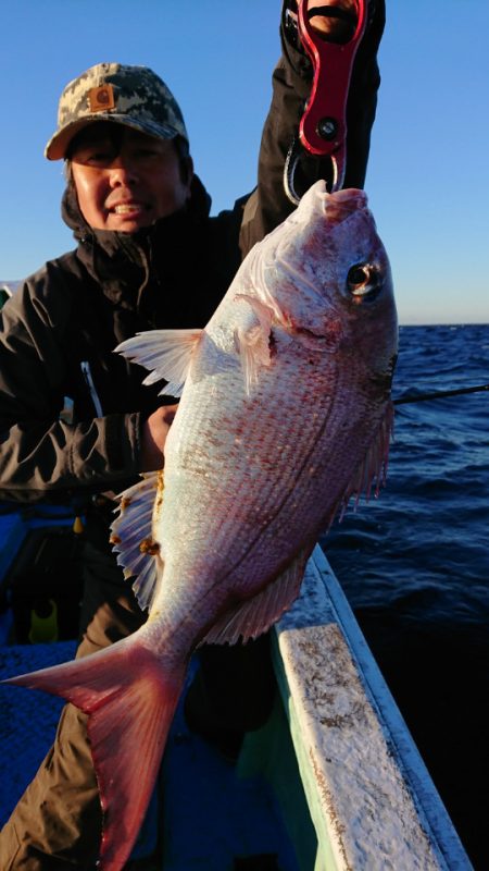 だて丸 釣果