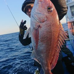 だて丸 釣果