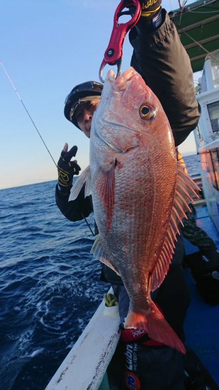 だて丸 釣果