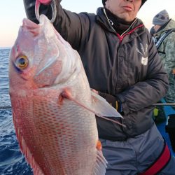 だて丸 釣果