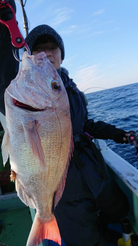 だて丸 釣果