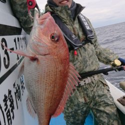 だて丸 釣果