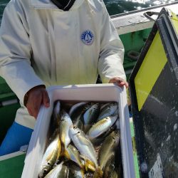 金沢八景鴨下丸 釣果