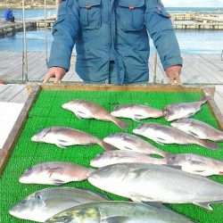 海の釣堀 海恵 釣果