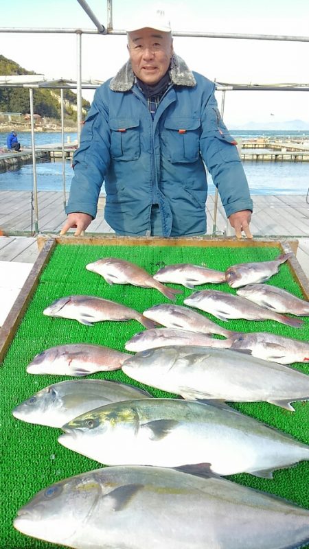 海の釣堀 海恵 釣果
