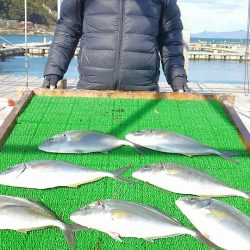 海の釣堀 海恵 釣果