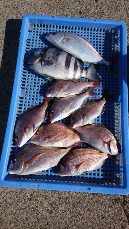 第三共栄丸 釣果