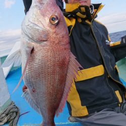 だて丸 釣果