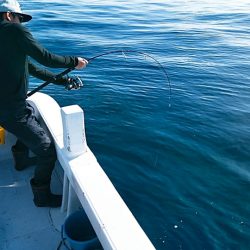 LUSTER『ラスター』 釣果