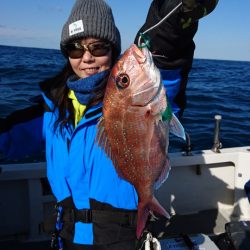 ARCADIAⅡ (アルカディアⅡ) 釣果