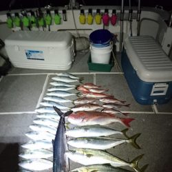 ARCADIAⅡ (アルカディアⅡ) 釣果