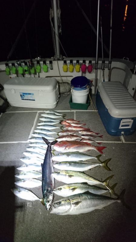 ARCADIAⅡ (アルカディアⅡ) 釣果