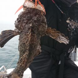 遊漁船 家入 釣果