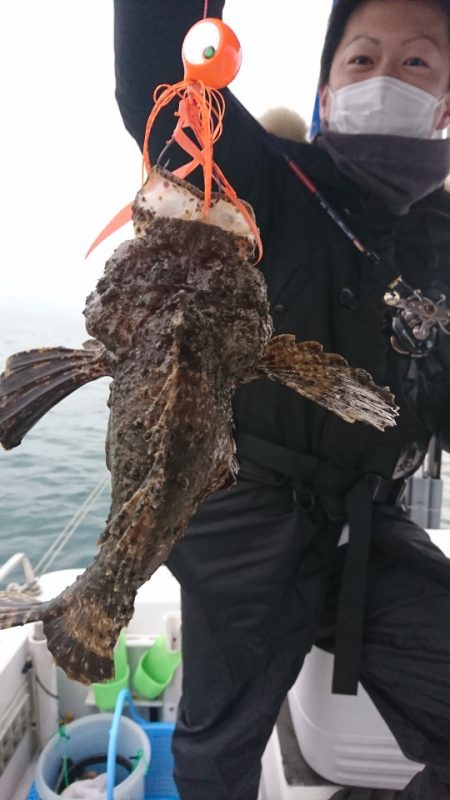 遊漁船 家入 釣果